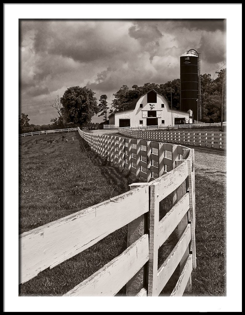 Dairy Farm on a Hill