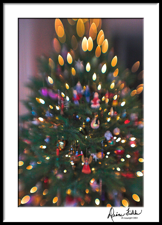 6254 tree lights abstract copy.jpg