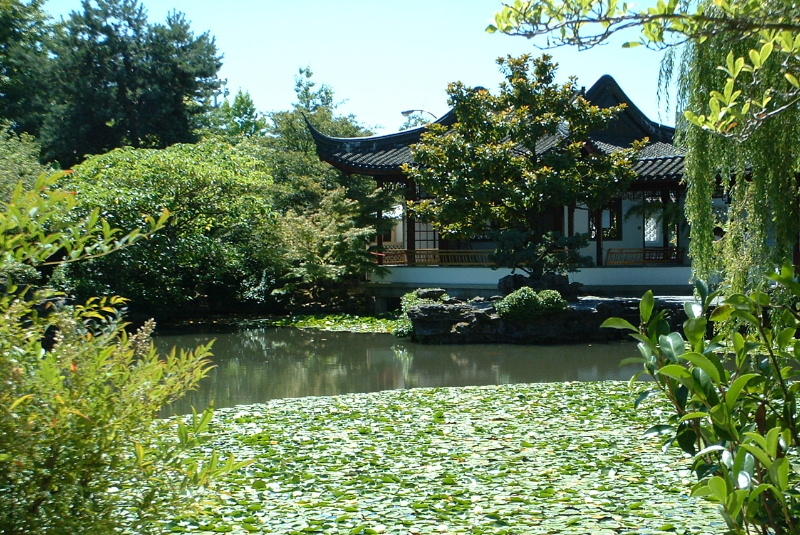Sun Yat Sen garden-Chinatown 2