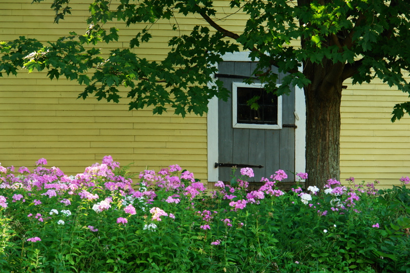 1406i have shot this barn so many times now and never gotten a shot i like... until now?, ps i decided just now i love it!!!!