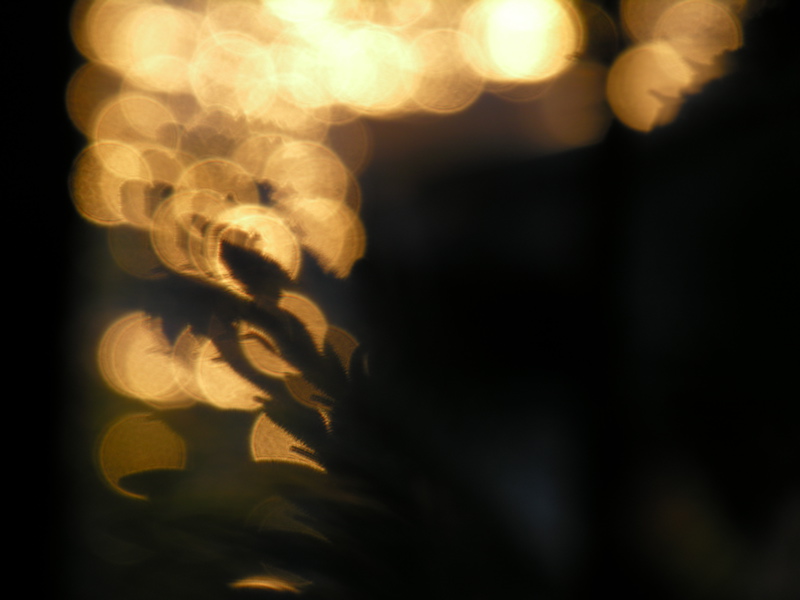 DSCN8413.jpg