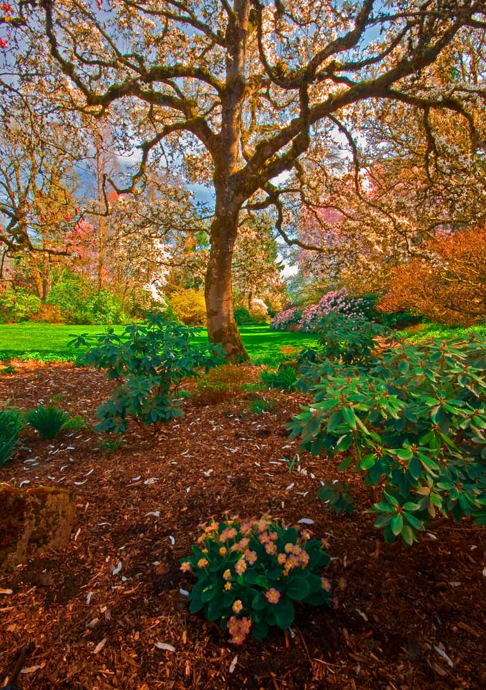 Elk Rock Garden        #2294