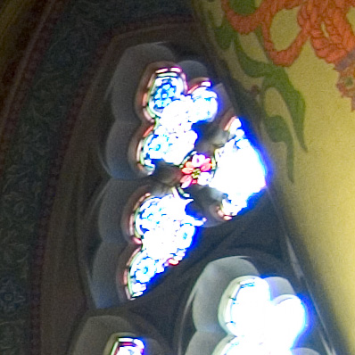 CRW_3826.jpg