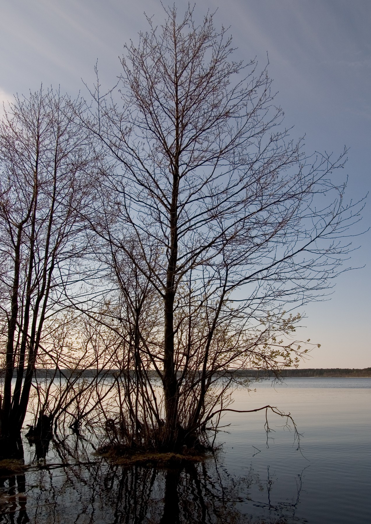 CRW_5868.jpg