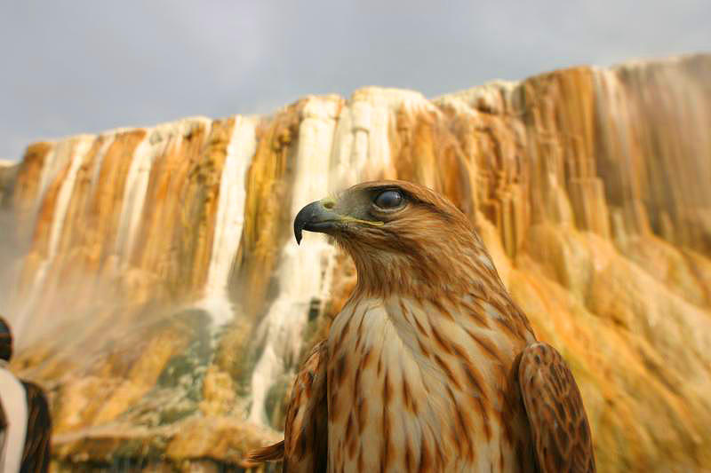 hammam meskhoutine,guelma,algerie,algeria