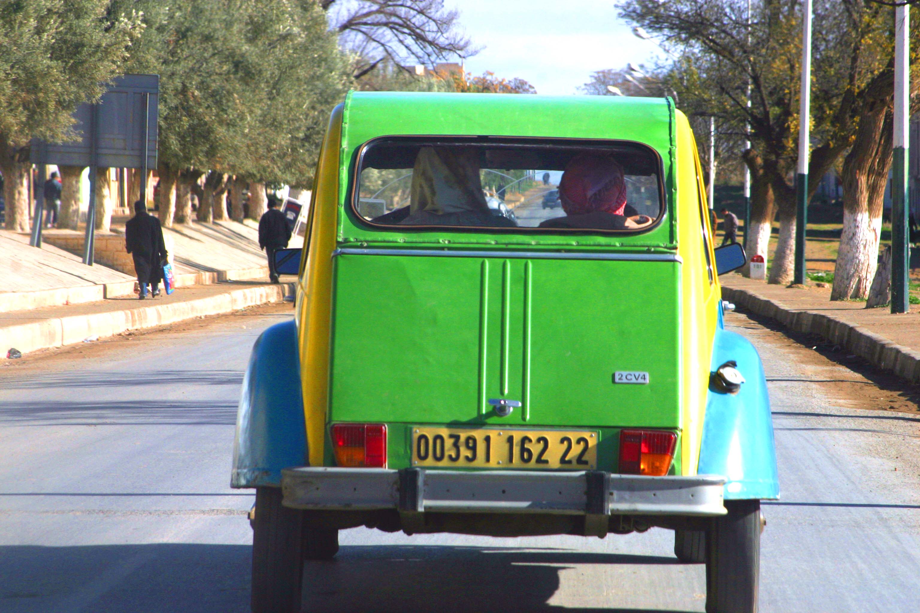 2 chevaux in wilaya 22