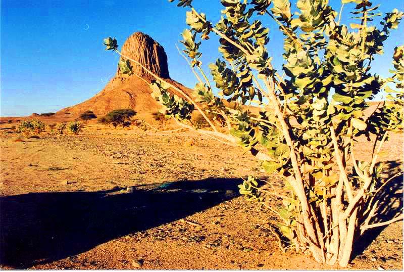 El hoggar,Tamanrasset, Algerie
