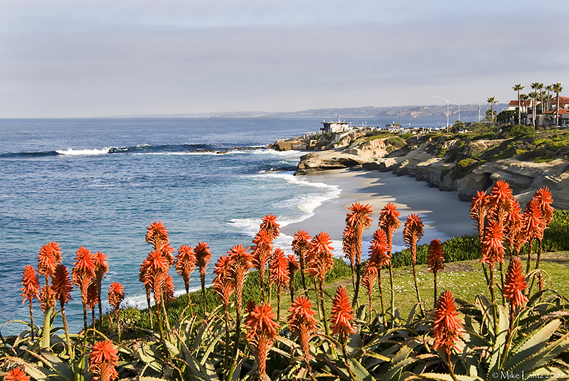 Wipeout Beach in La Jolla