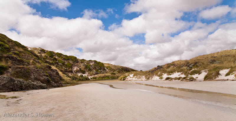 Creek onto Porkys Beach