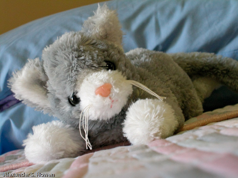 5 January - comforting the lonely