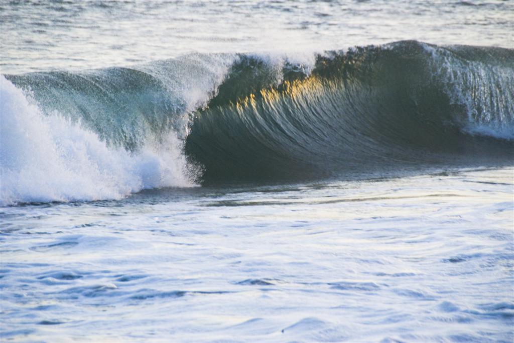 Wave Large.JPG