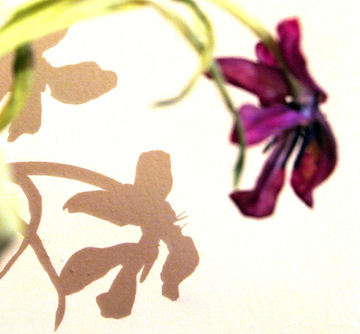 Dead Tulips #1