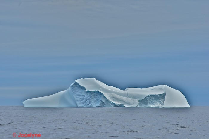 _DSC5640.jpg