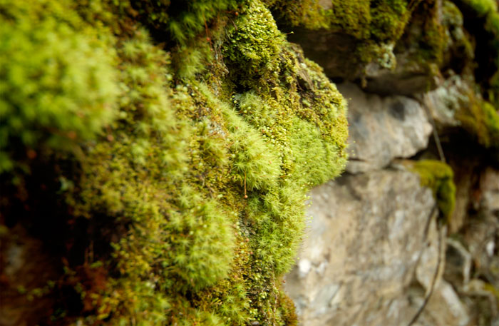 DSC_0574.jpg