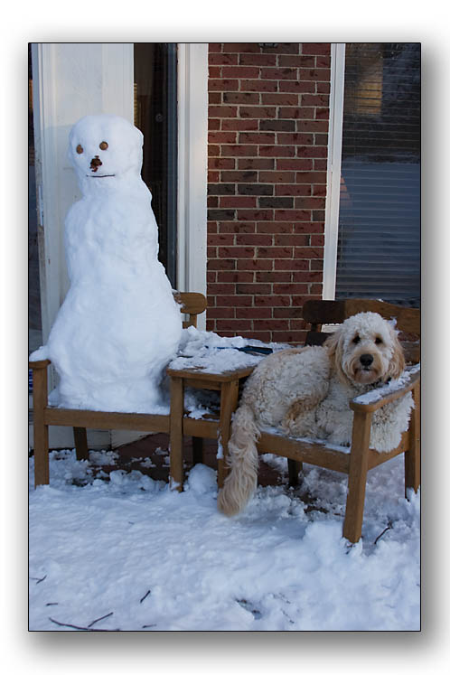 Teddy & Friend
