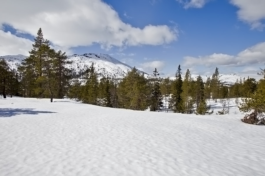 Slettefjell, Eastern 2009