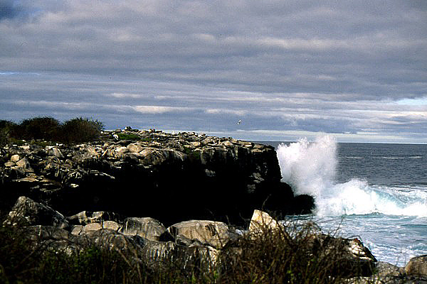 Breaking waves