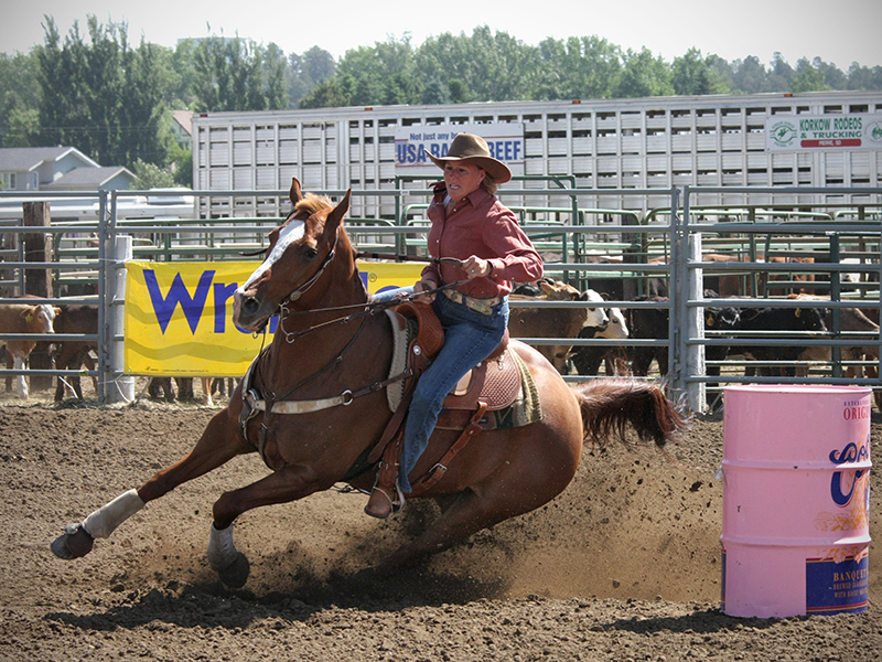 Dickinson Rodeo