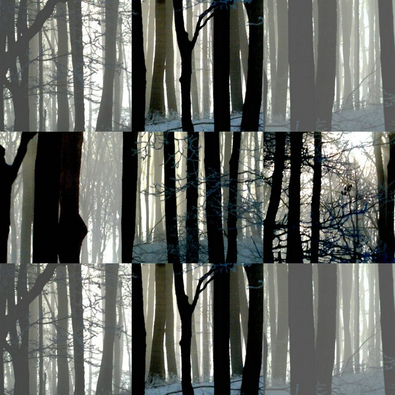 collage5.jpg