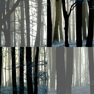 collage6.jpg