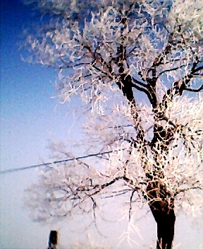 006.jpg