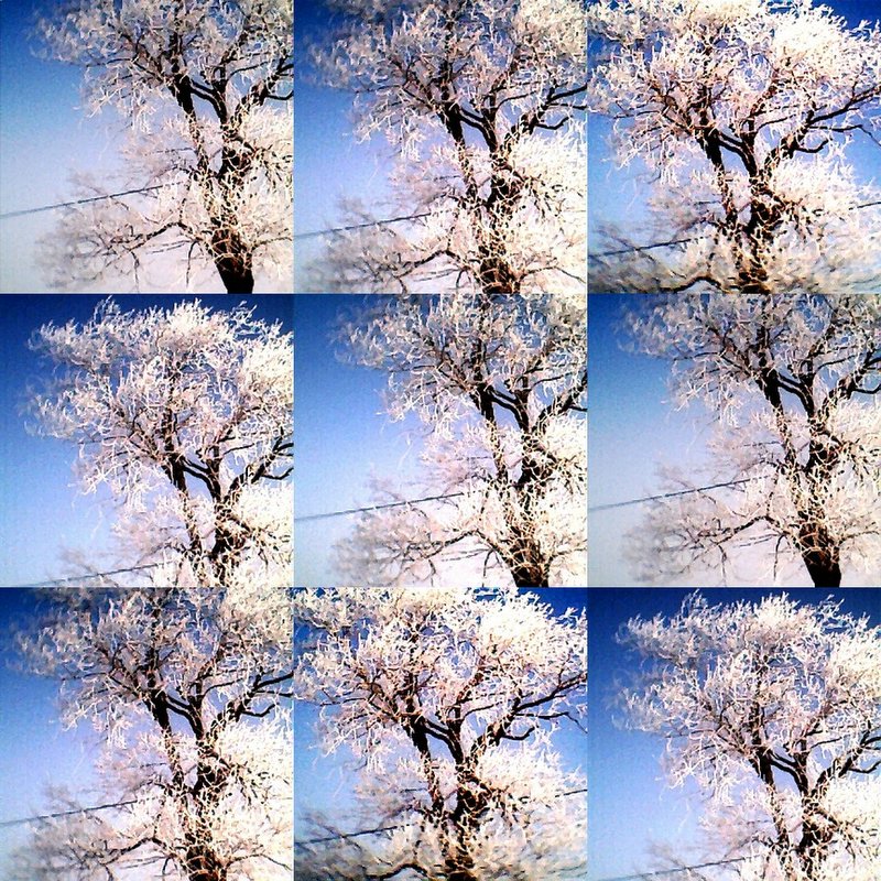 collage24.jpg
