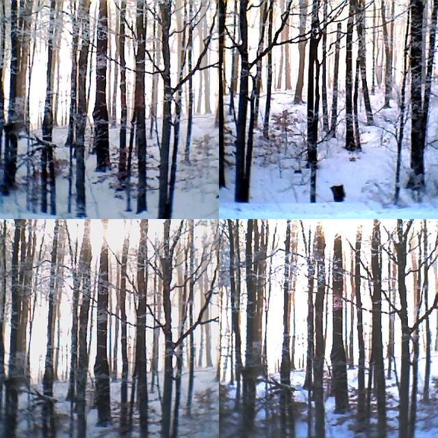 collage25.jpg