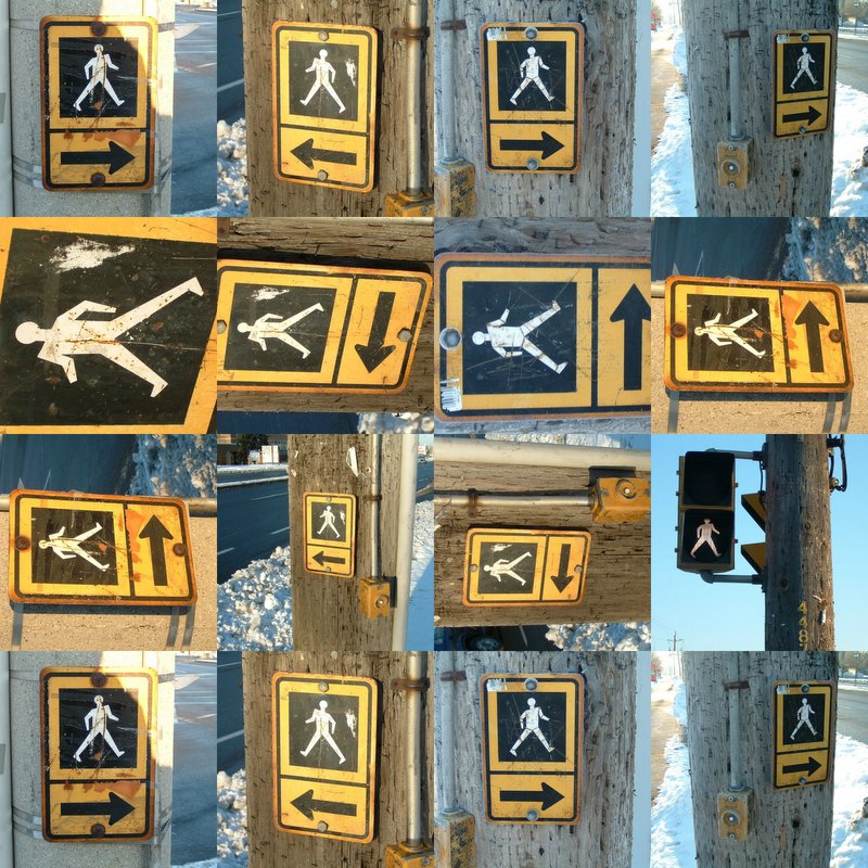 collage41.jpg