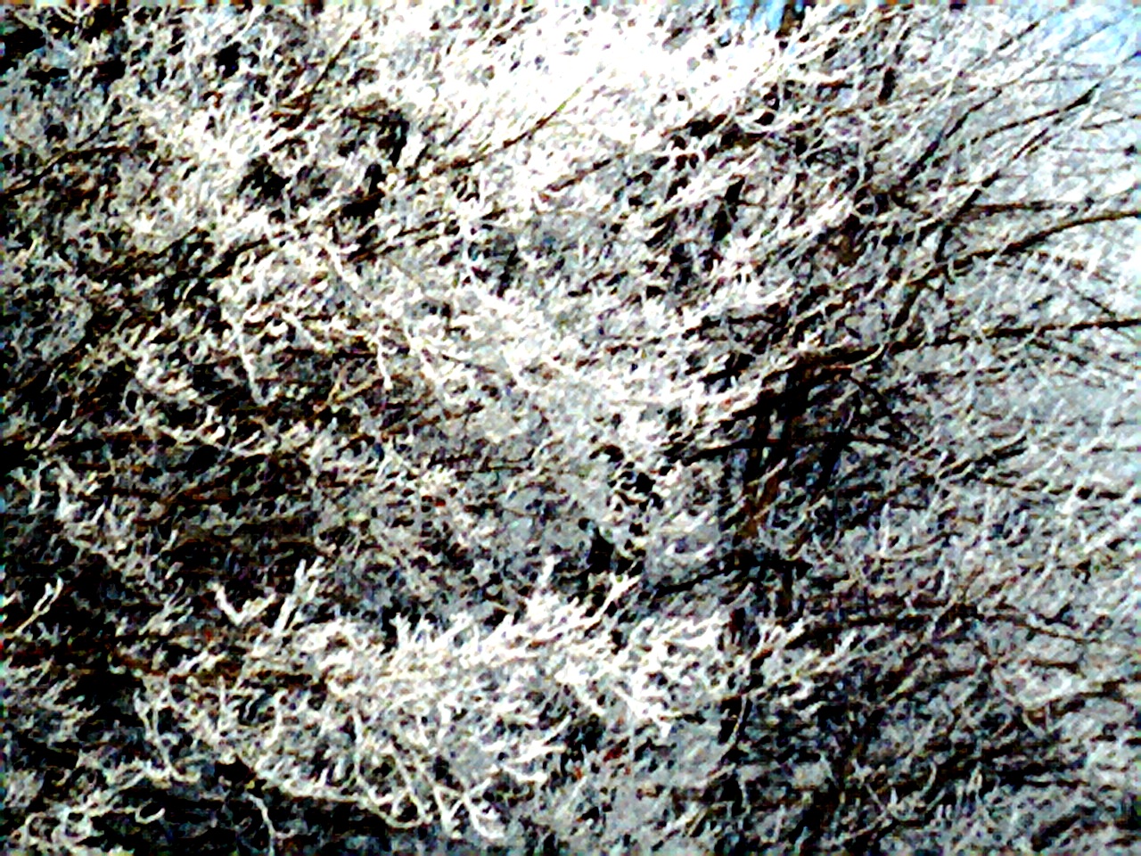 Photo001.jpg