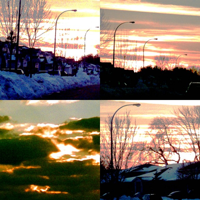 collage50.jpg
