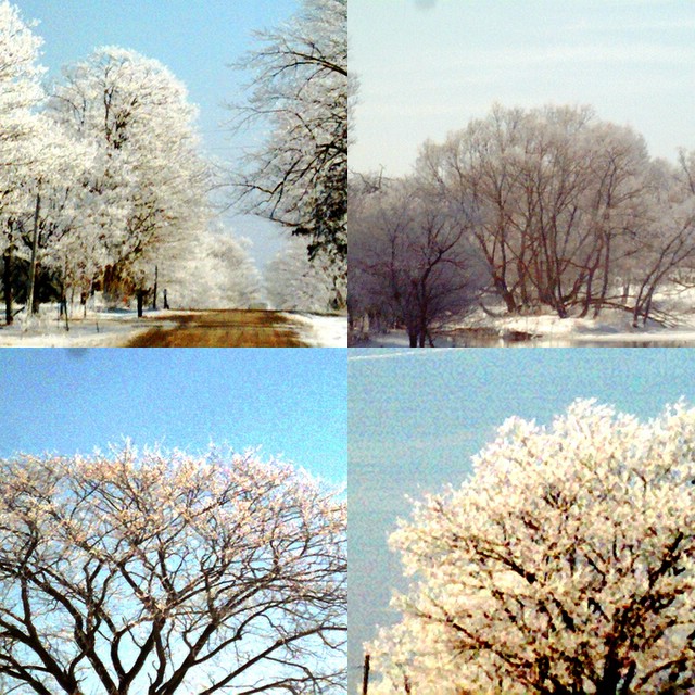 collage52.jpg