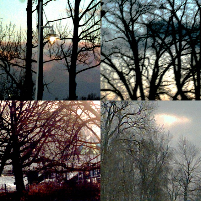 collage57.jpg