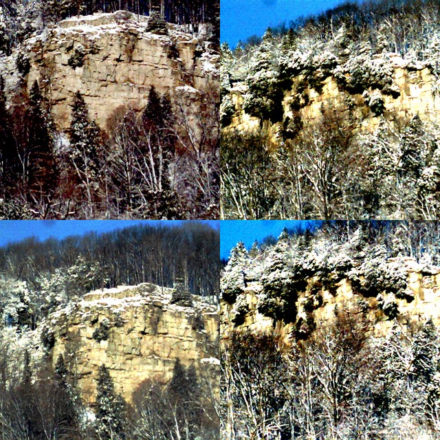 collage60.jpg