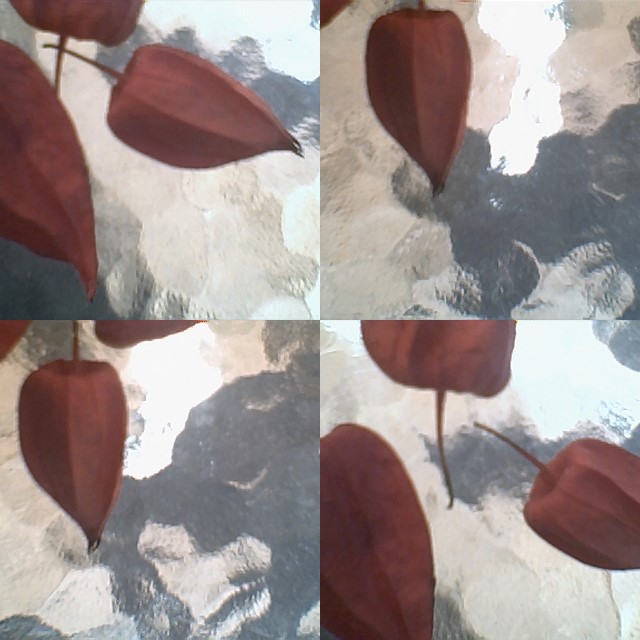 collage66.jpg