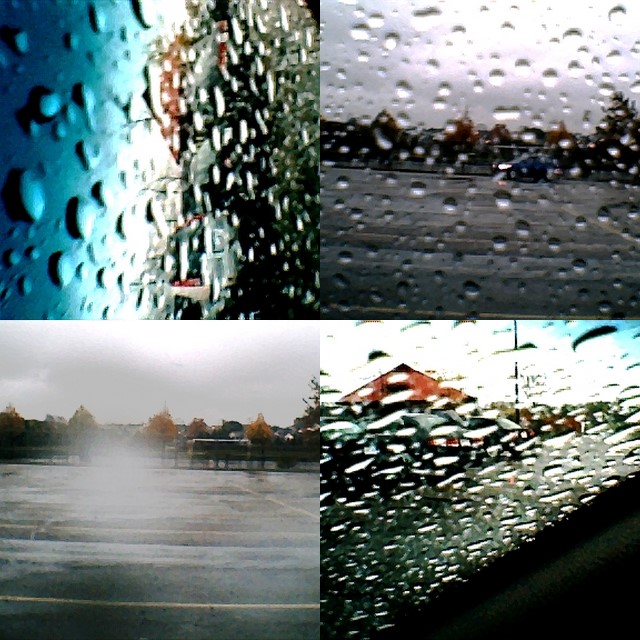 collage71.jpg