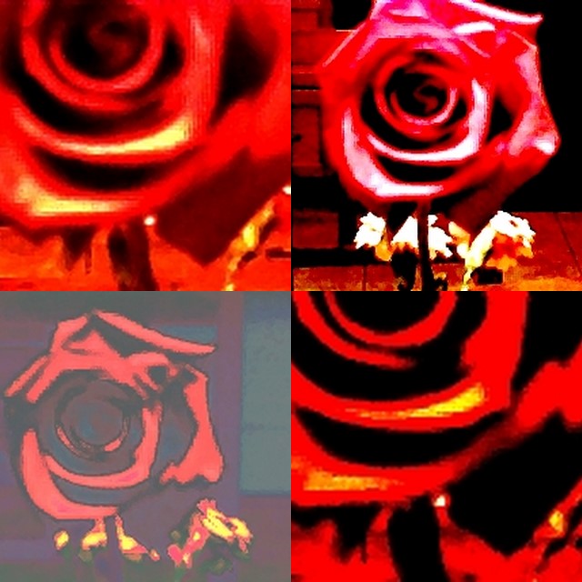 collage77.jpg
