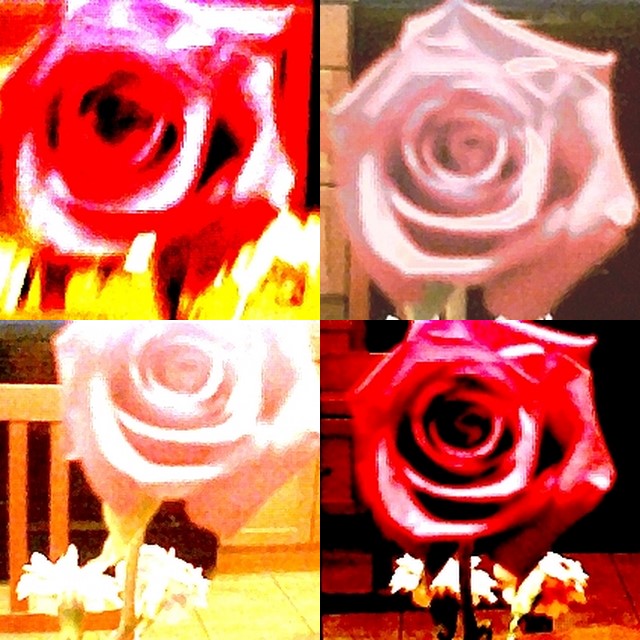 collage78.jpg