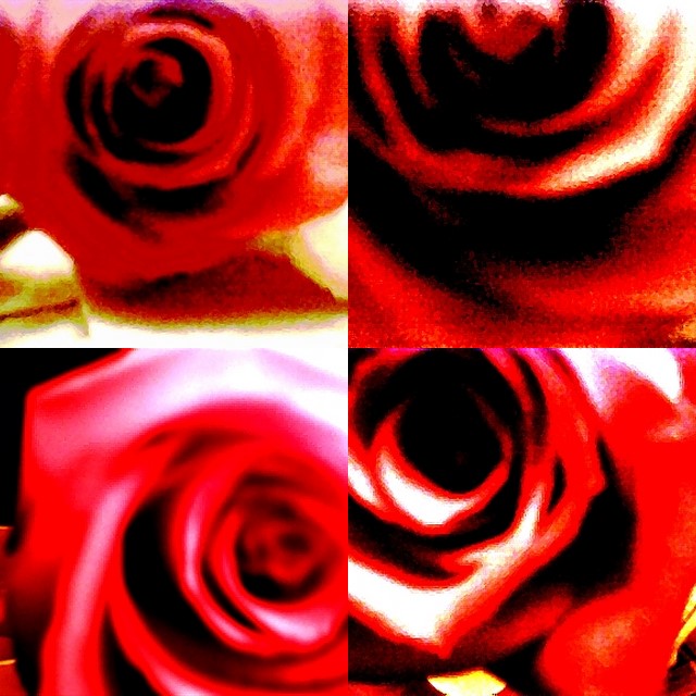 collage83.jpg