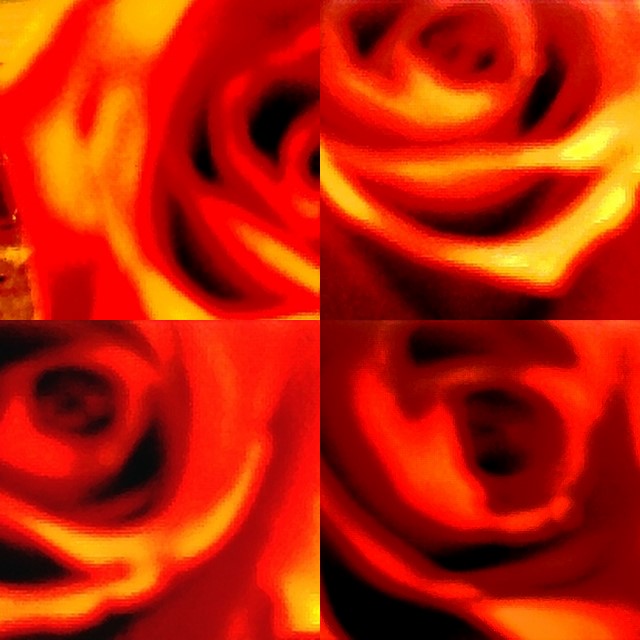 collage84.jpg