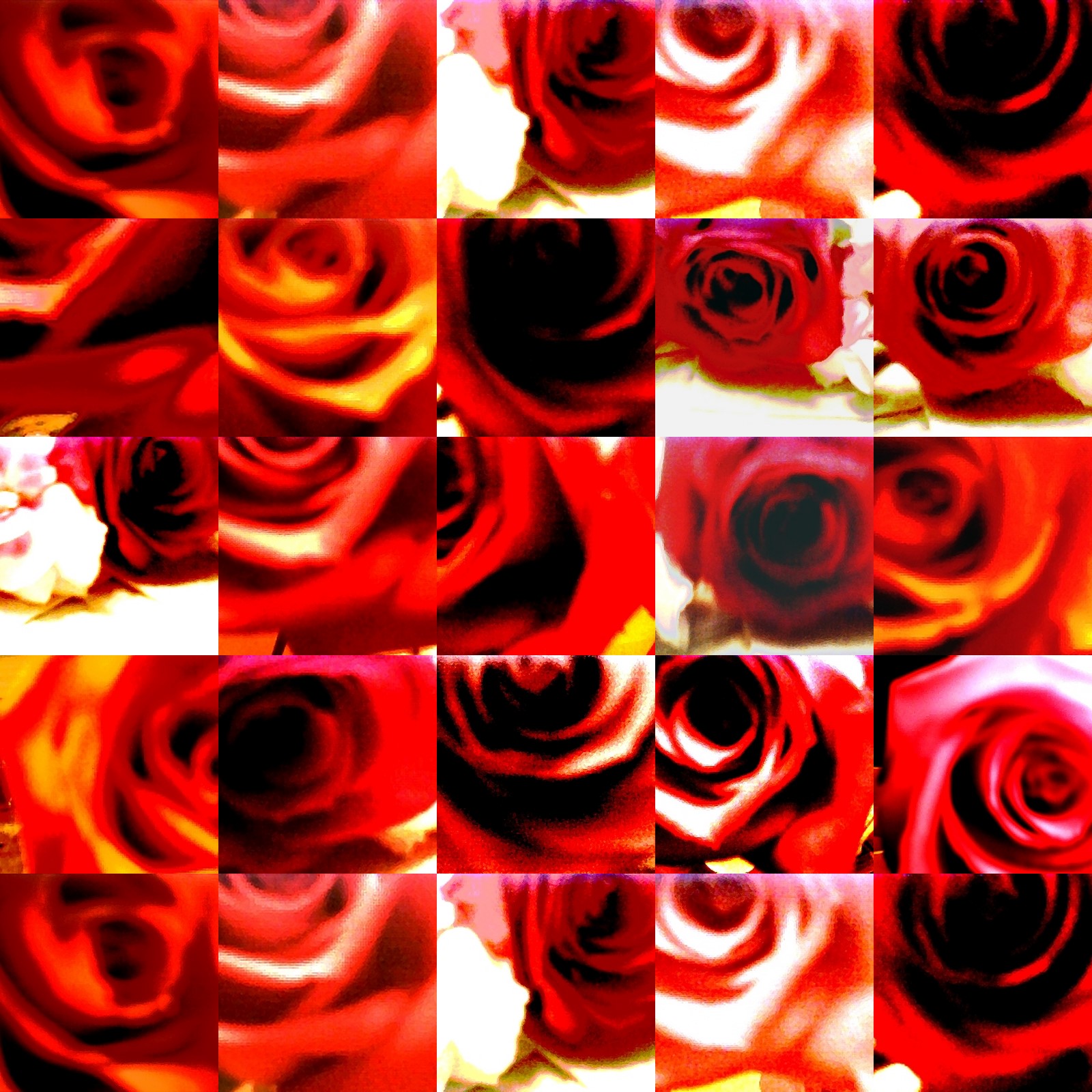 collage92.jpg