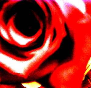 1590.jpg