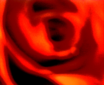 1603.jpg