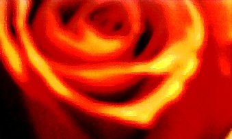 1605.jpg
