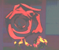 008.jpg