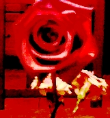 009.jpg