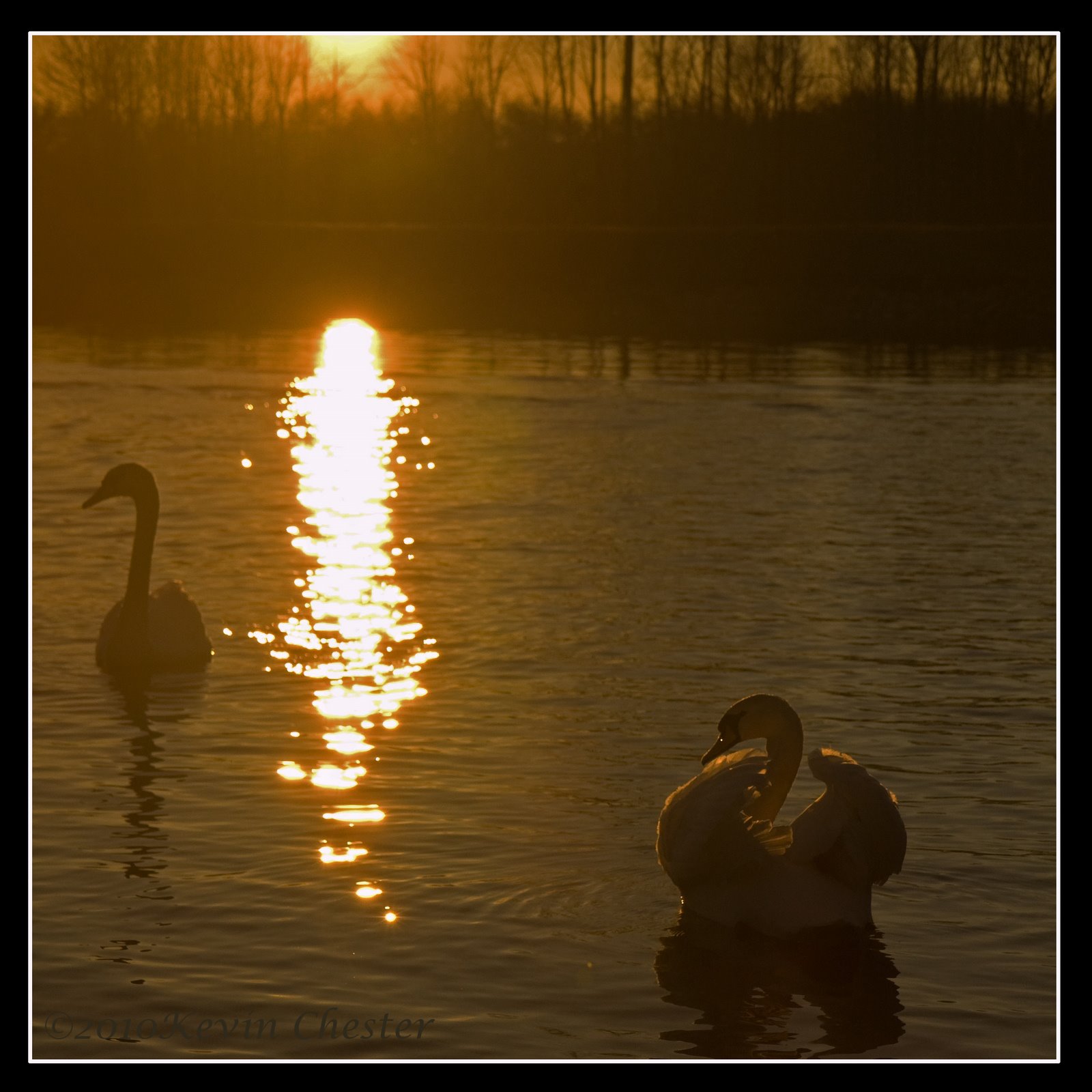 Lovers