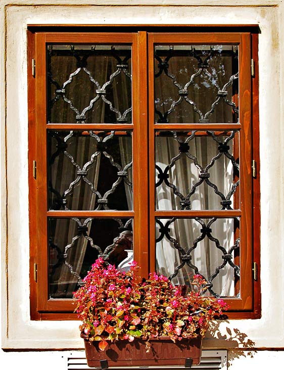 Window and flowers