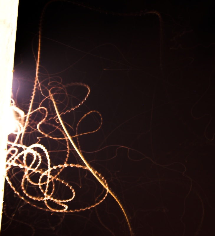 bugs on the light
