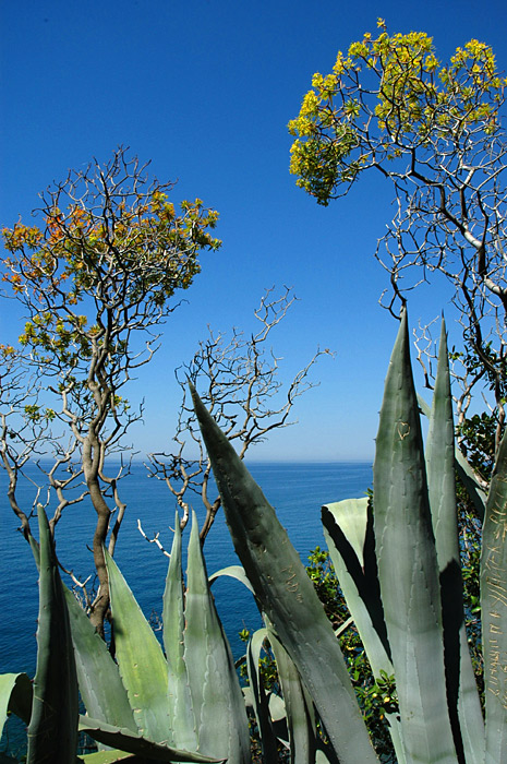 Cinque Terre