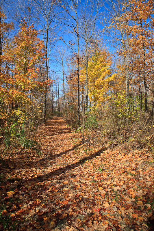 20091102-_MG_2440.jpg